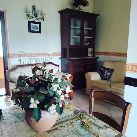 Дом отдыха Coccinelle
